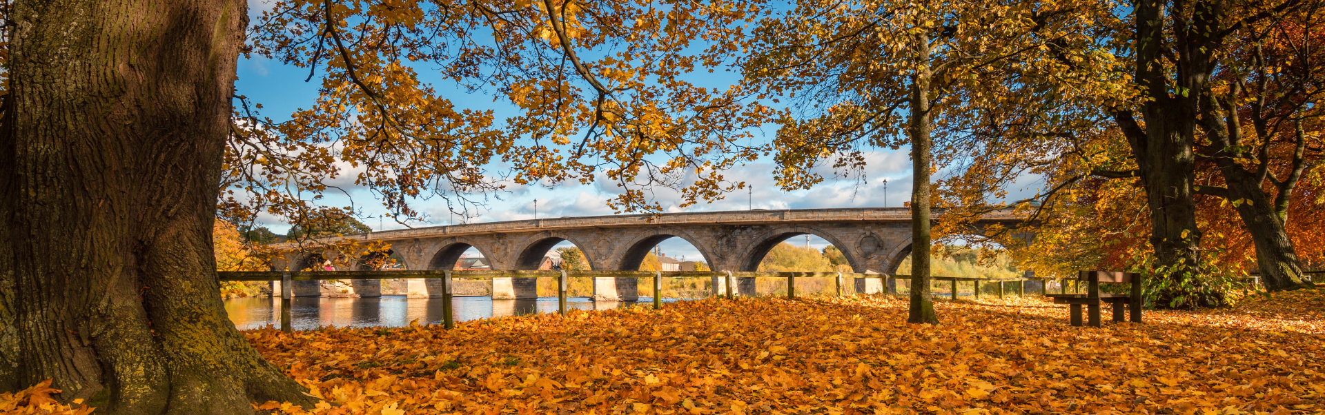 Autumn at the Tyne Green Riverside Park