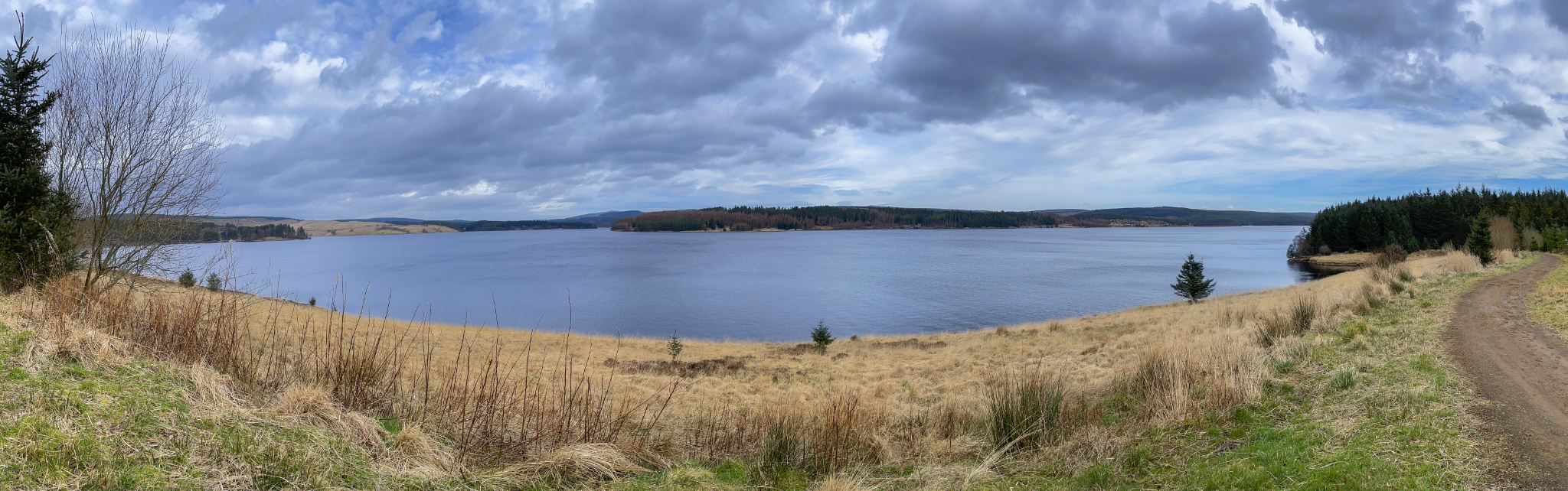 kielder-water-forest-park-united-kingdom-northumberland-northeast-england