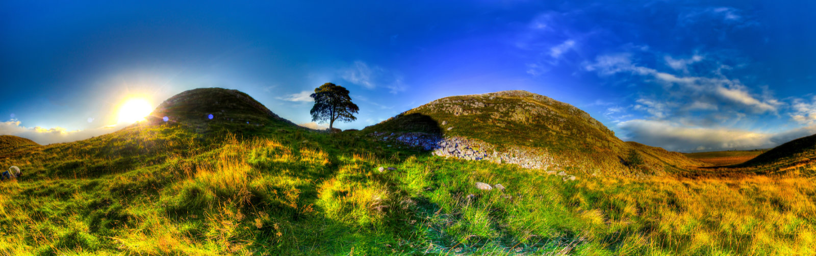 Sycamore Gap Panorama, Northumberland.